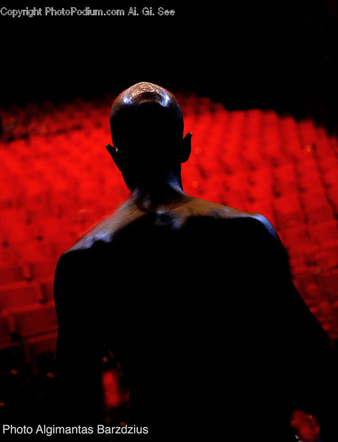 People, Person, Human, Silhouette, Bird, Blackbird, Portrait