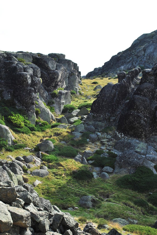 Rock, Cliff, Outdoors, Crest, Mountain, Peak, Moss
