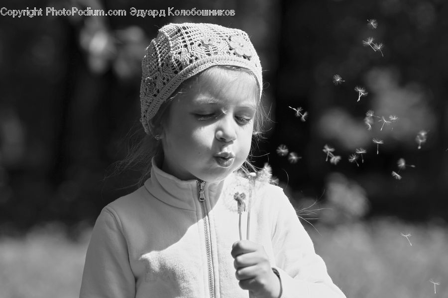 People, Person, Human, Dandelion, Flower, Plant, Portrait