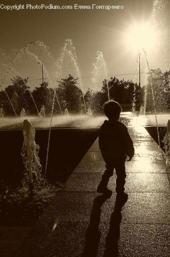 People, Person, Human, Fountain, Water, Plant, Potted Plant