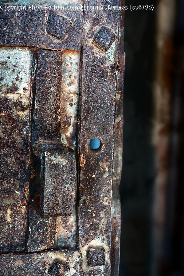 Rust, Birch, Tree, Wood