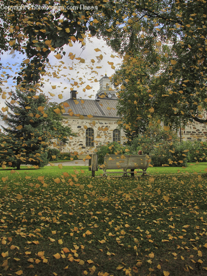 Bench, Park, Building, Cottage, Housing, Campus, Landscape
