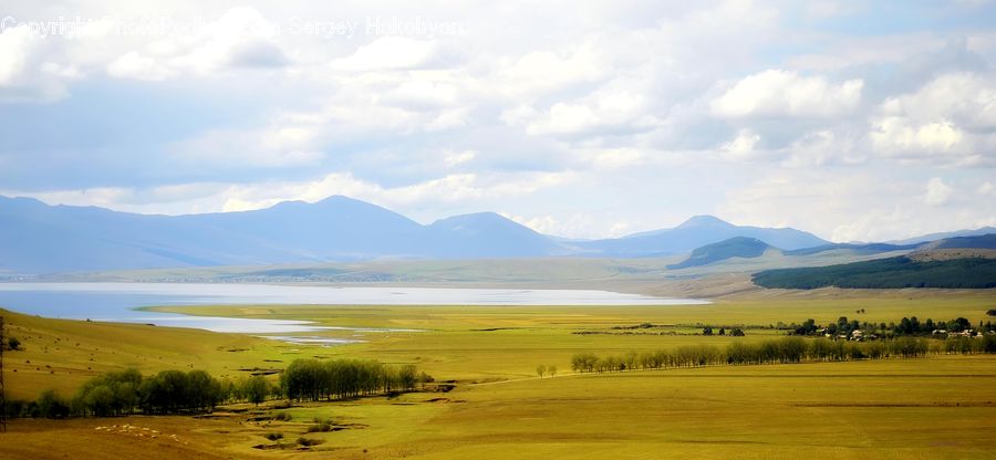 Field, Grass, Grassland, Land, Outdoors, Landscape, Nature
