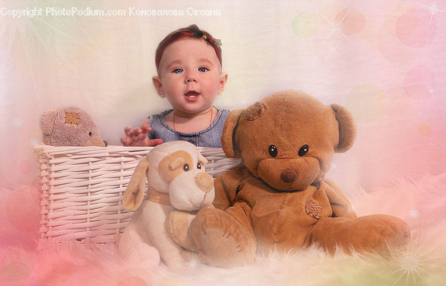People, Person, Human, Teddy Bear, Toy, Doll, Portrait