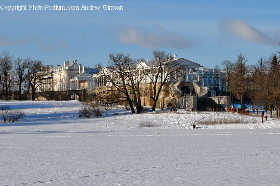 Building, Housing, Villa, Landscape, Nature, Scenery, Downtown