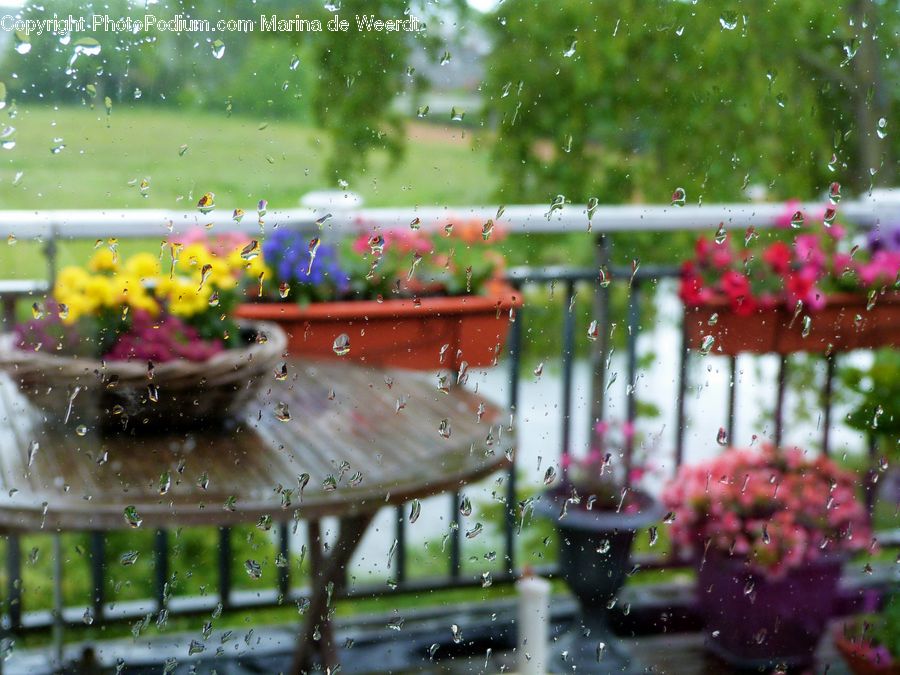 Patio, Water, Plant, Dining Table, Furniture, Table, Pot
