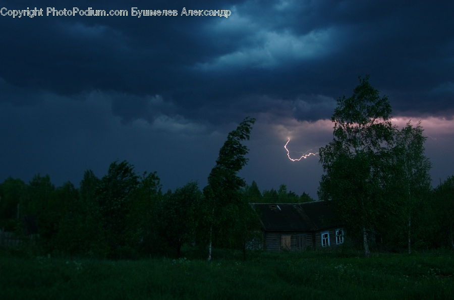 Outdoors, Storm, Thunderstorm, Weather, Fog, Plant, Tree