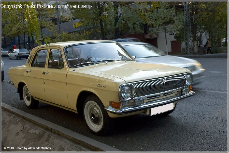 Plant, Potted Plant, Automobile, Car, Sedan, Vehicle, Coupe