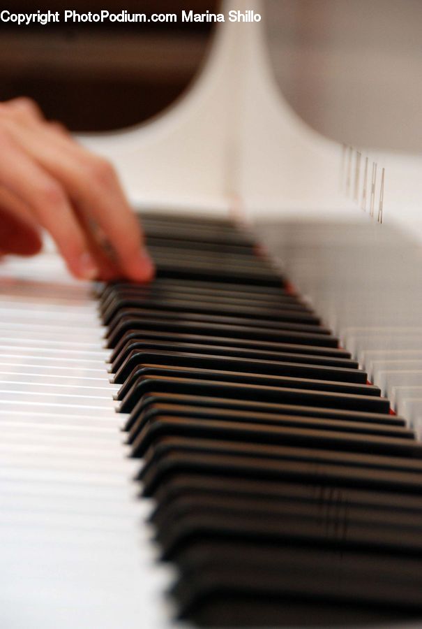 Grand Piano, Musical Instrument, Piano