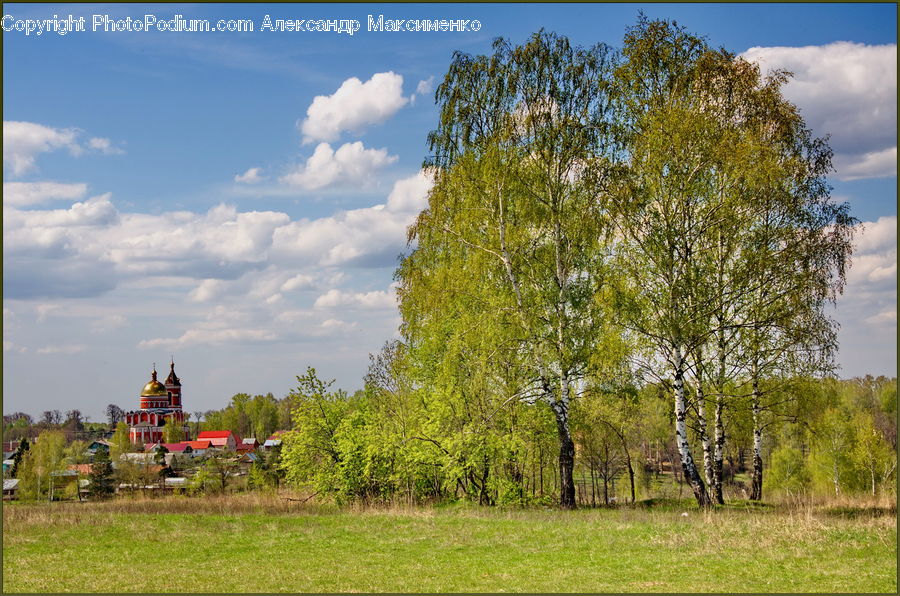 Architecture, Housing, Monastery, Field, Grass, Grassland, Land