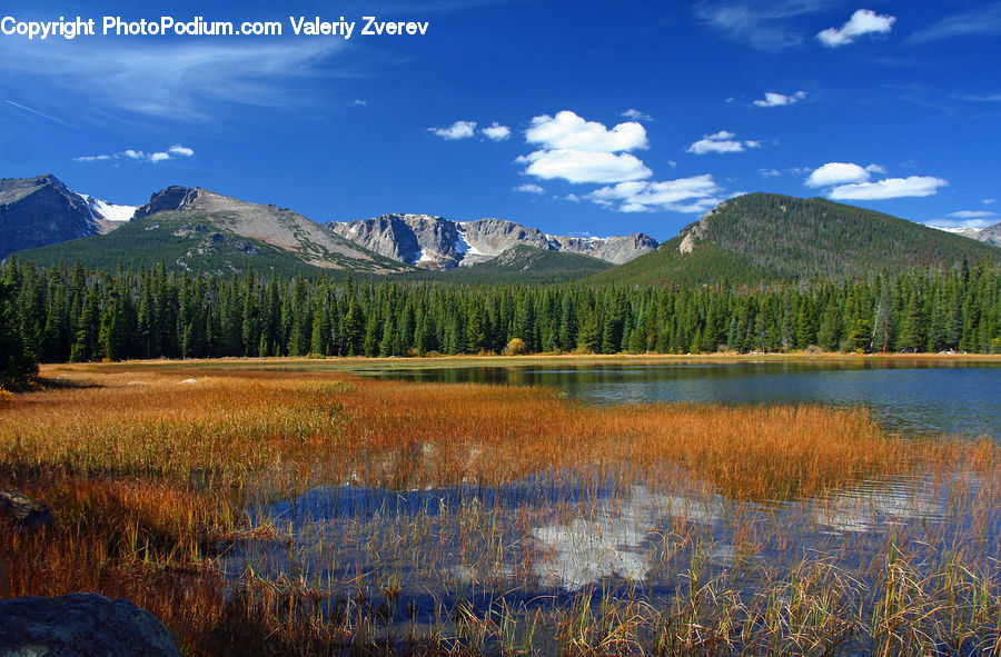 Land, Marsh, Outdoors, Swamp, Water, Lake, Grass