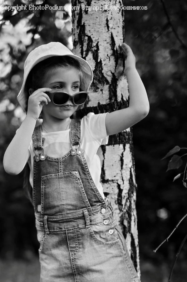 People, Person, Human, Birch, Tree, Wood, Portrait
