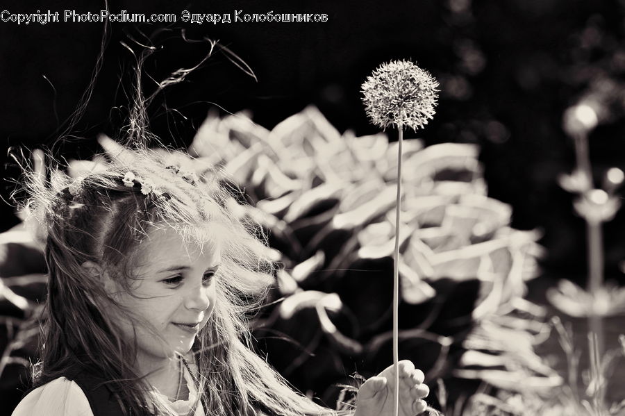 People, Person, Human, Blonde, Female, Woman, Blossom