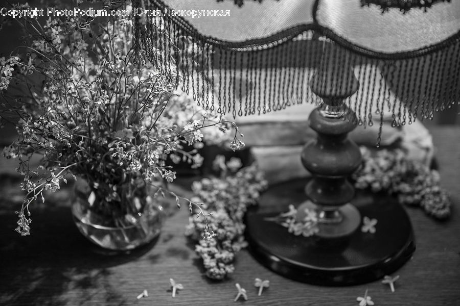 Chess, Game, Blossom, Flora, Flower, Plant, Accessories