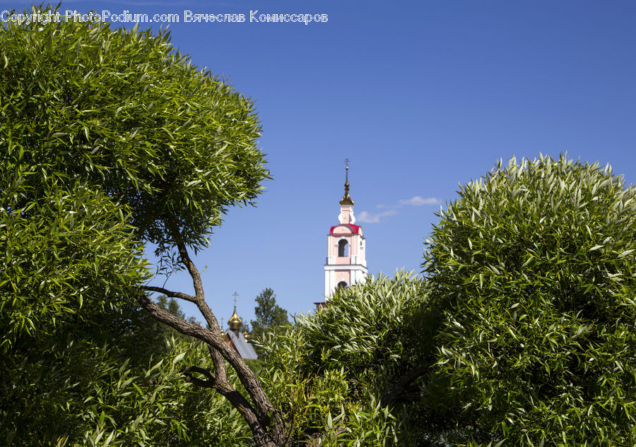 Architecture, Bell Tower, Clock Tower, Tower, Beacon, Building, Lighthouse
