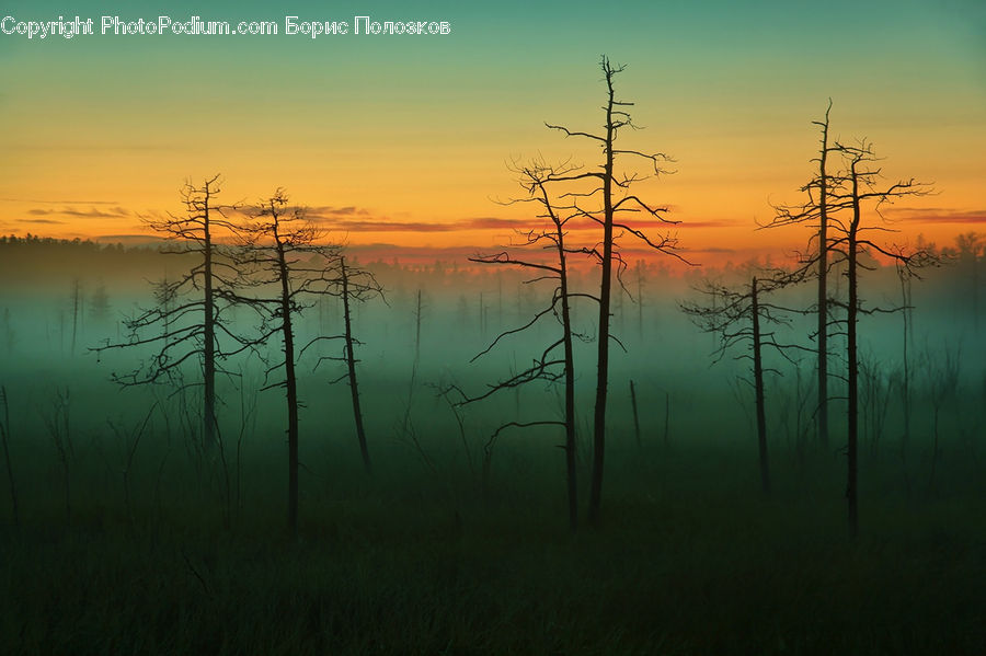 Dusk, Outdoors, Sky, Sunlight, Sunrise, Sunset, Dawn