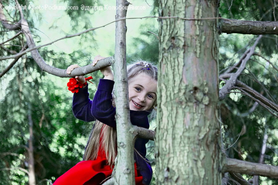 People, Person, Human, Playground, Female, Birch, Tree