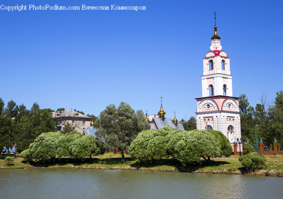 Architecture, Bell Tower, Clock Tower, Tower, Bush, Plant, Vegetation