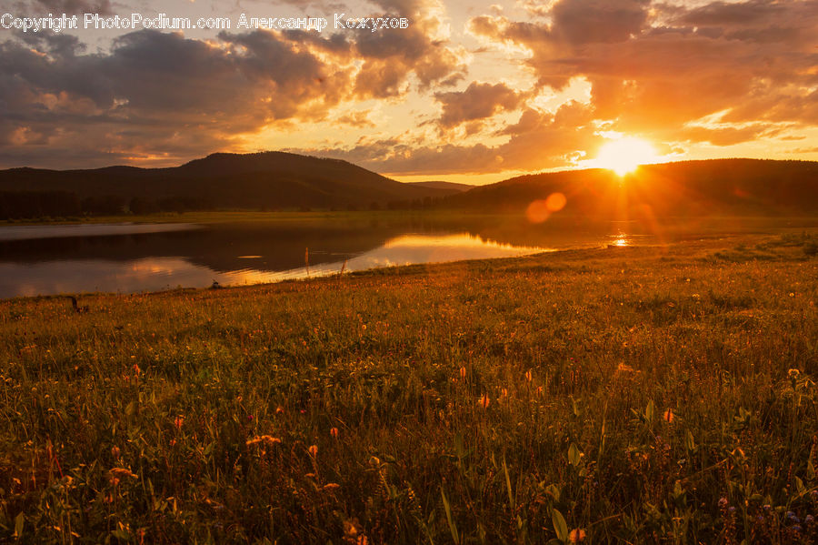Field, Grass, Grassland, Land, Outdoors, Dawn, Dusk
