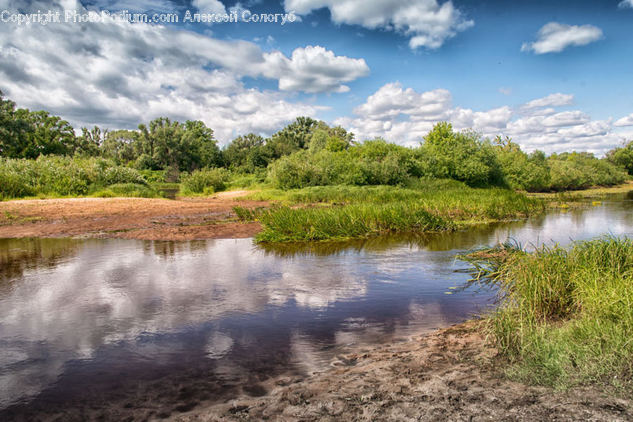 Land, Marsh, Pond, Swamp, Water, Field, Grass