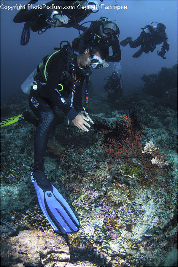 Diver, Diving, Person, Water, Adventure, Outdoors, Scuba Diving