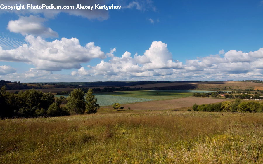 Field, Grass, Grassland, Land, Outdoors, Cloud, Cumulus