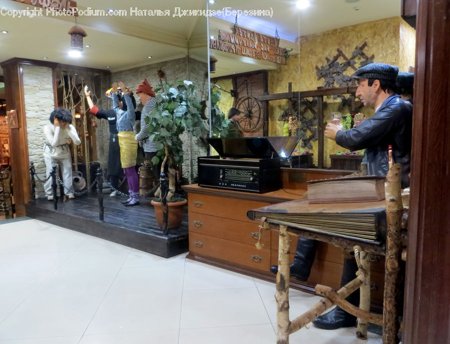 People, Person, Human, Plant, Potted Plant, Plywood, Wood