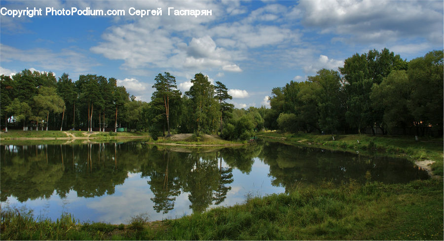 Outdoors, Pond, Water, Field, Grass, Grassland, Plant