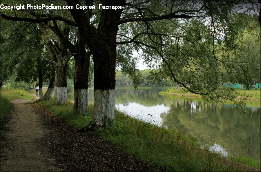 Dirt Road, Gravel, Road, Canal, Outdoors, River, Water