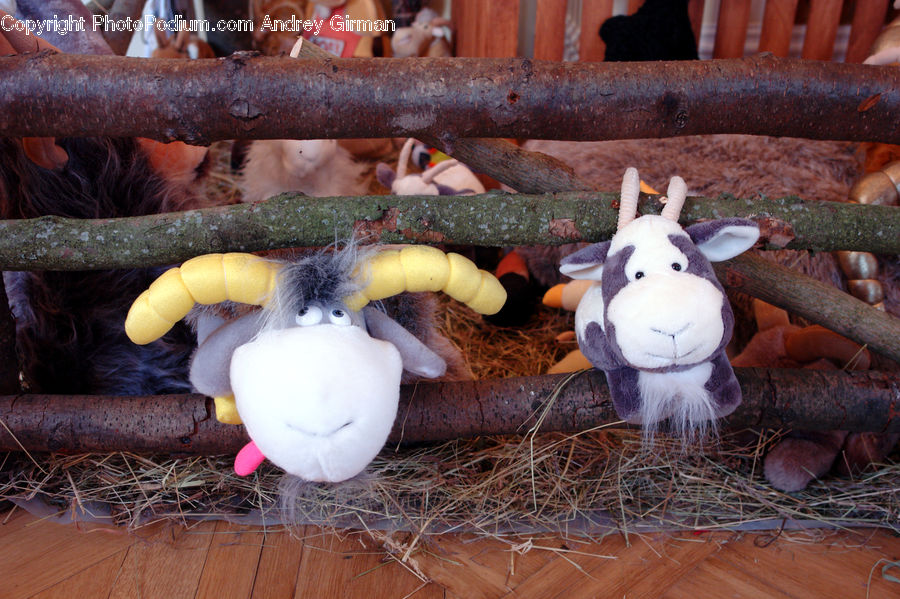 Toy, Gourd, Produce, Vegetable, Animal, Bear, Giant Panda