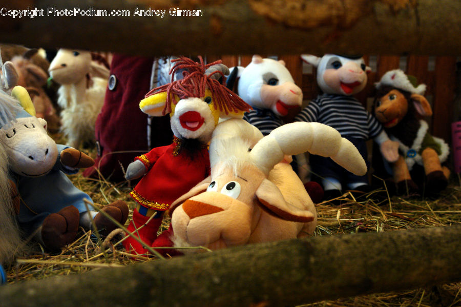 Teddy Bear, Toy, Clown, Performer, Person, Doll, Figurine