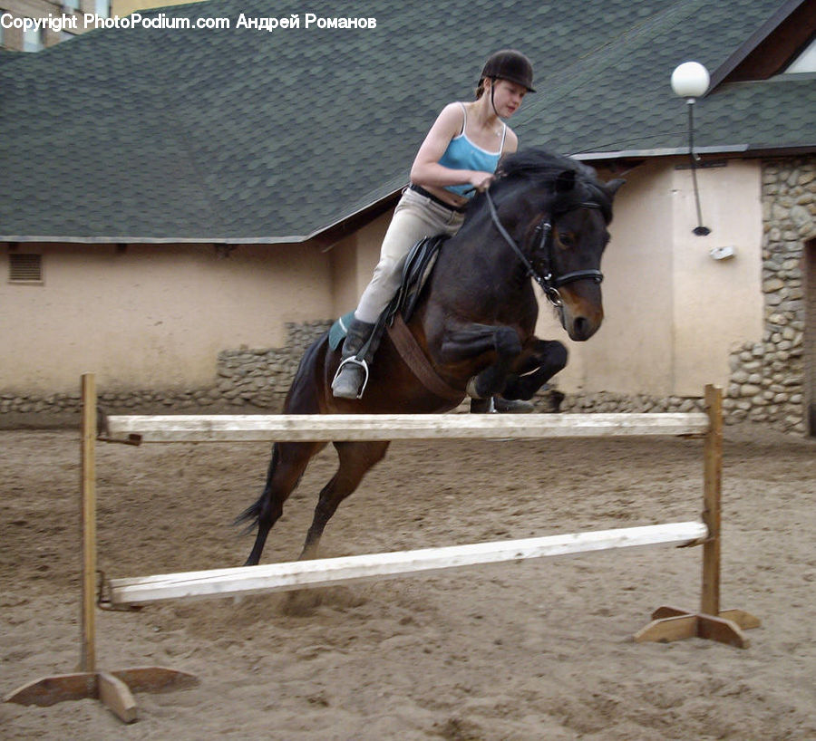 Human, People, Person, Animal, Equestrian, Horse, Asleep