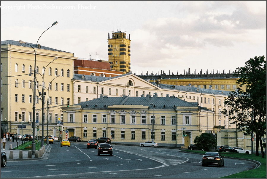 Intersection, Road, Building, Office Building, Plant, Tree, City