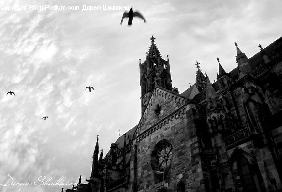 Architecture, Cathedral, Church, Worship, Castle, Fort, City