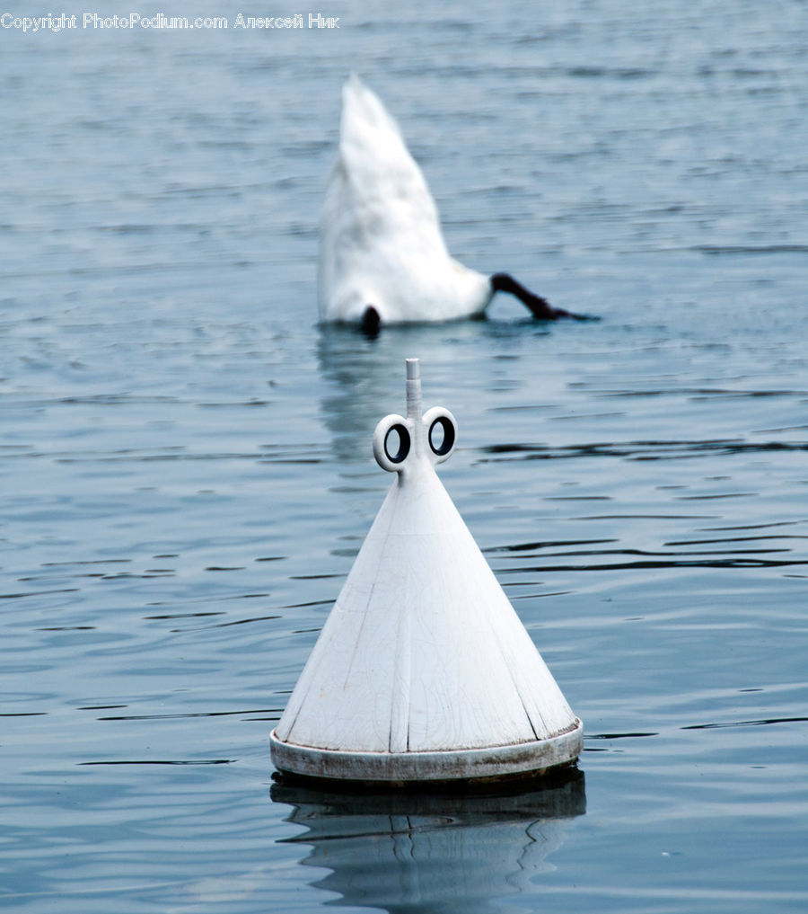 Boat, Dinghy, Ocean, Outdoors, Sea, Water, Animal