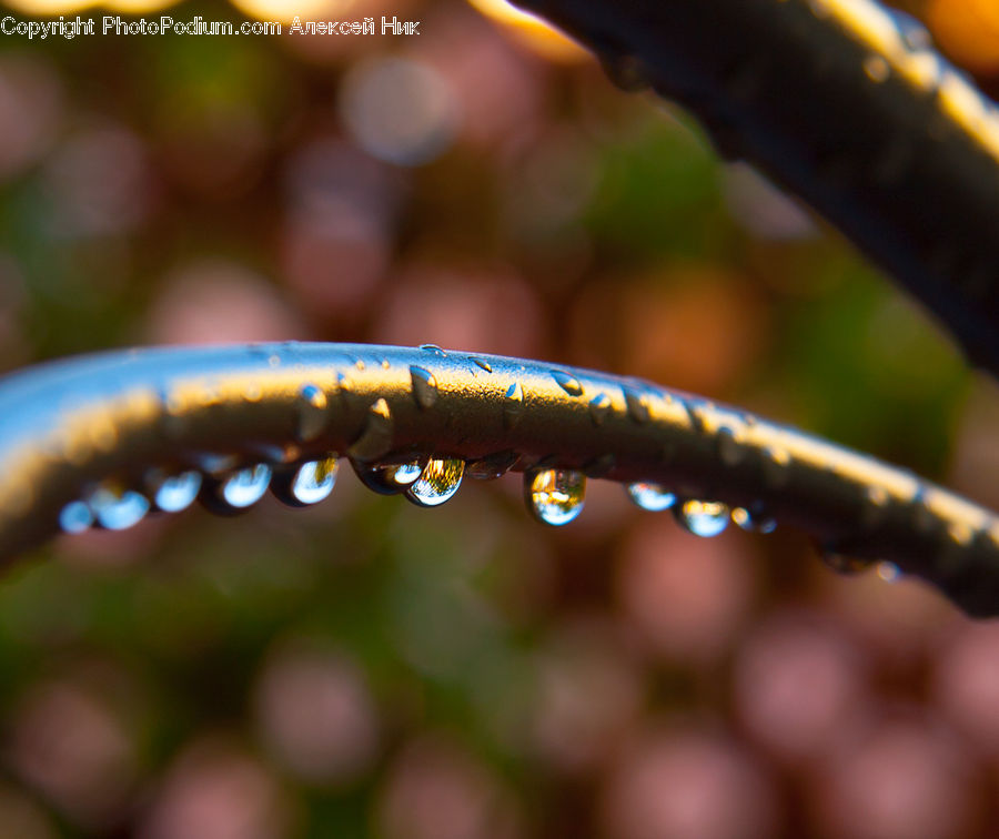 Coil, Spiral, Droplet