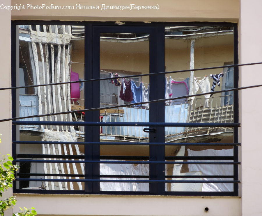 Bird, Parakeet, Parrot, Door, Sliding Door, Window, Shop
