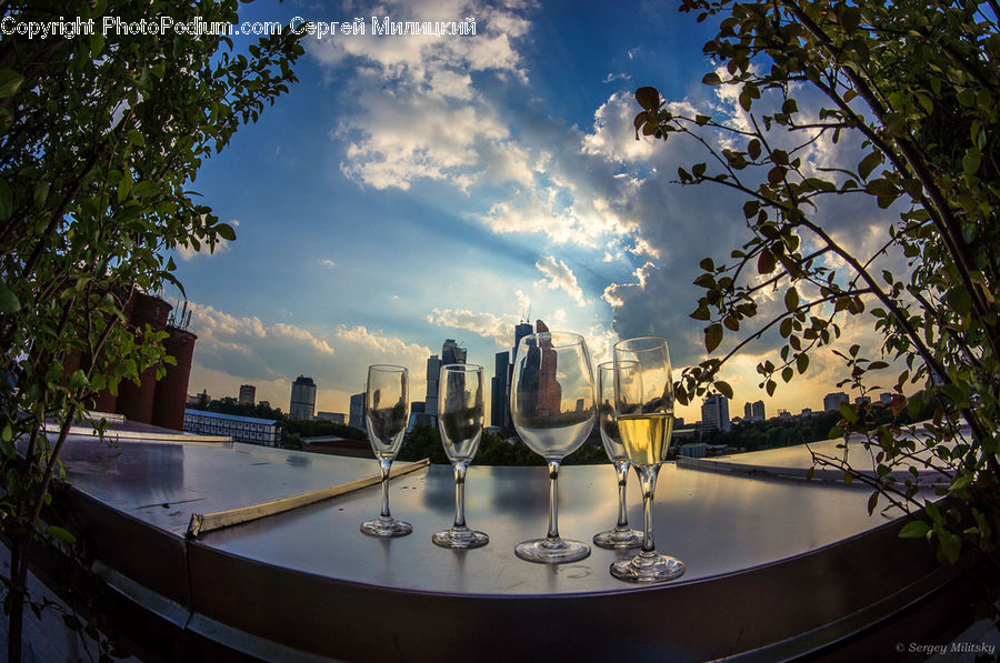 Plant, Potted Plant, Landscape, Nature, Scenery, Fisheye, Hotel