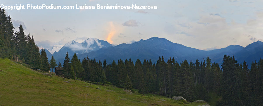 Mountain, Mountain Range, Outdoors, Crest, Peak, Conifer, Fir