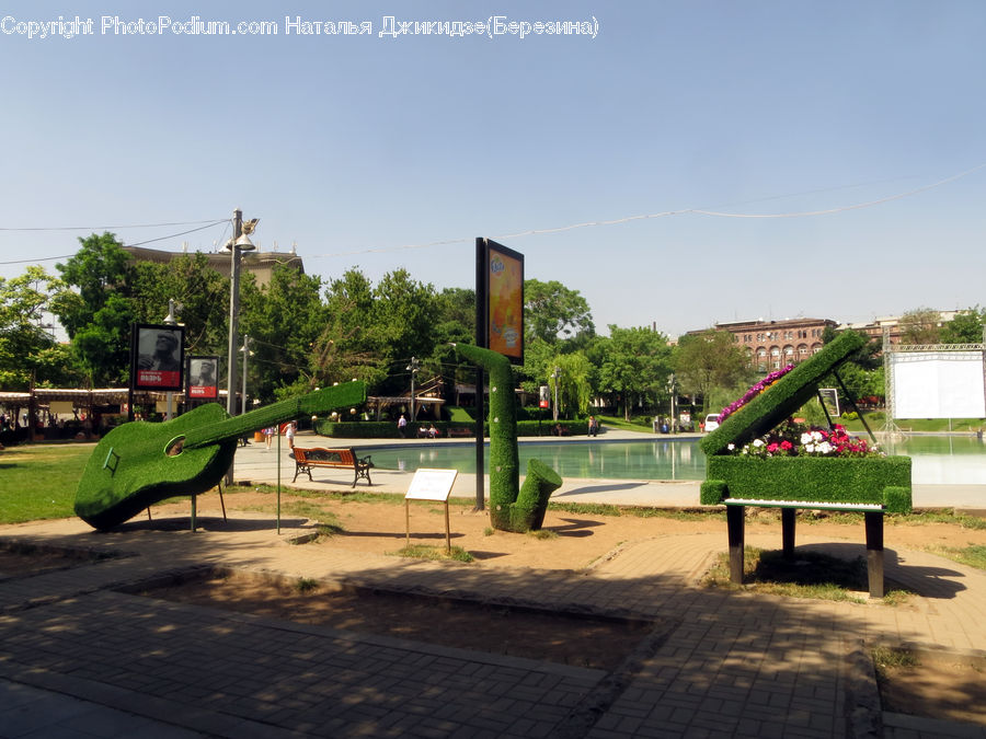 Bench, Playground, Park Bench, Park, Blossom, Flora, Flower