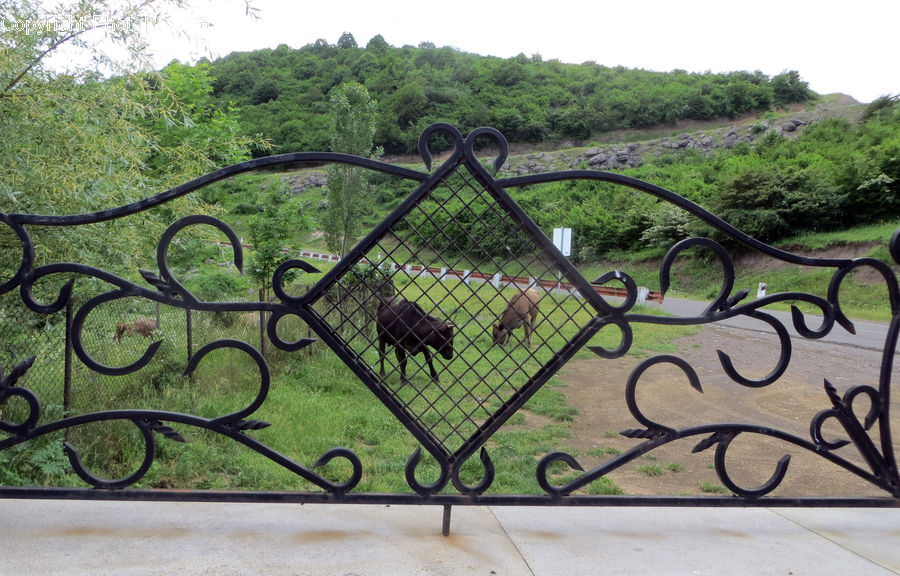 Bench, Railing, Banister, Handrail, Park, Arbour