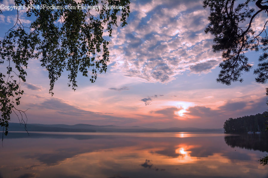 Dawn, Dusk, Red Sky, Sky, Sunrise, Sunset, Plant