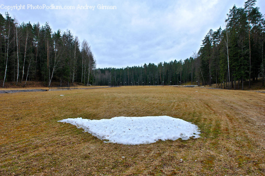 Basin, Outdoors, Field, Grass, Grassland, Land, Plant