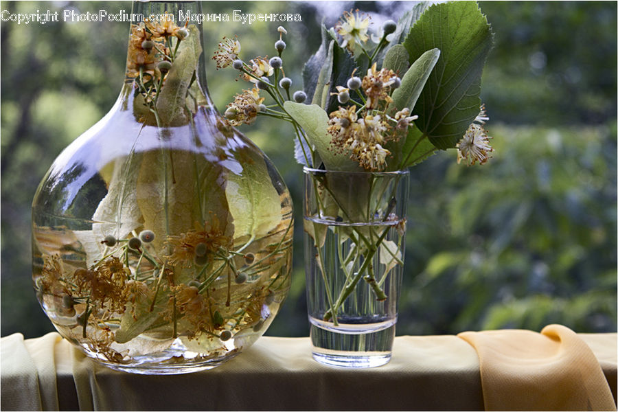 Glass, Goblet, Blossom, Flora, Flower, Plant, Flower Arrangement