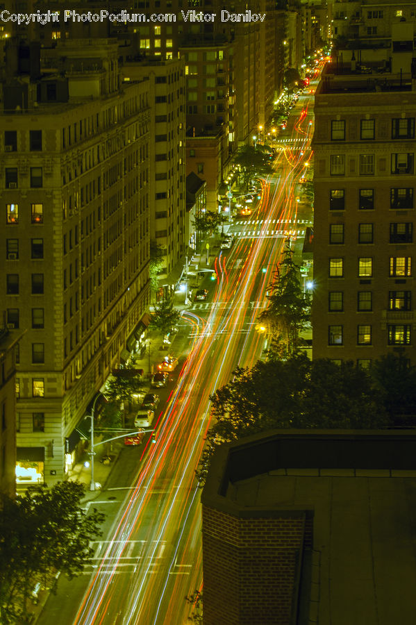 Plant, Potted Plant, City, Downtown, Metropolis, Urban, Intersection