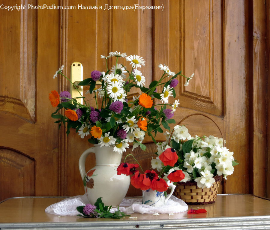 Plant, Potted Plant, Floral Design, Flower, Flower Arrangement, Flower Bouquet, Ikebana