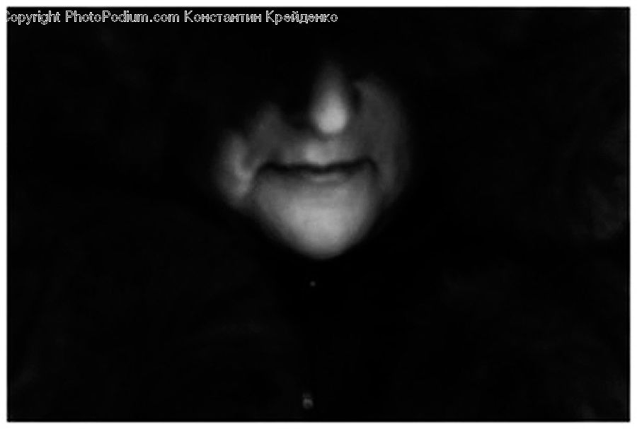 Face, Portrait, Smile, Person, Head, People