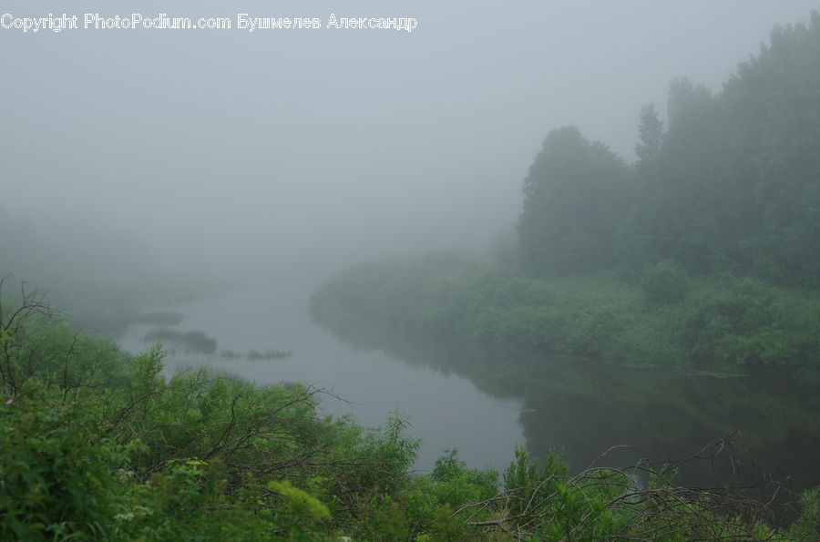 Fog, Mist, Outdoors