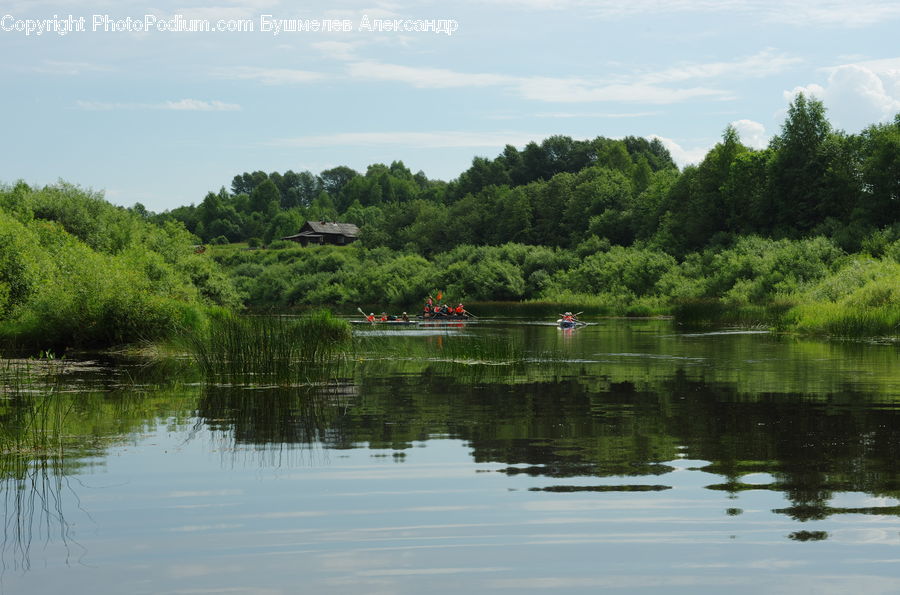 Outdoors, Pond, Water, Nature, Field, Grass, Grassland