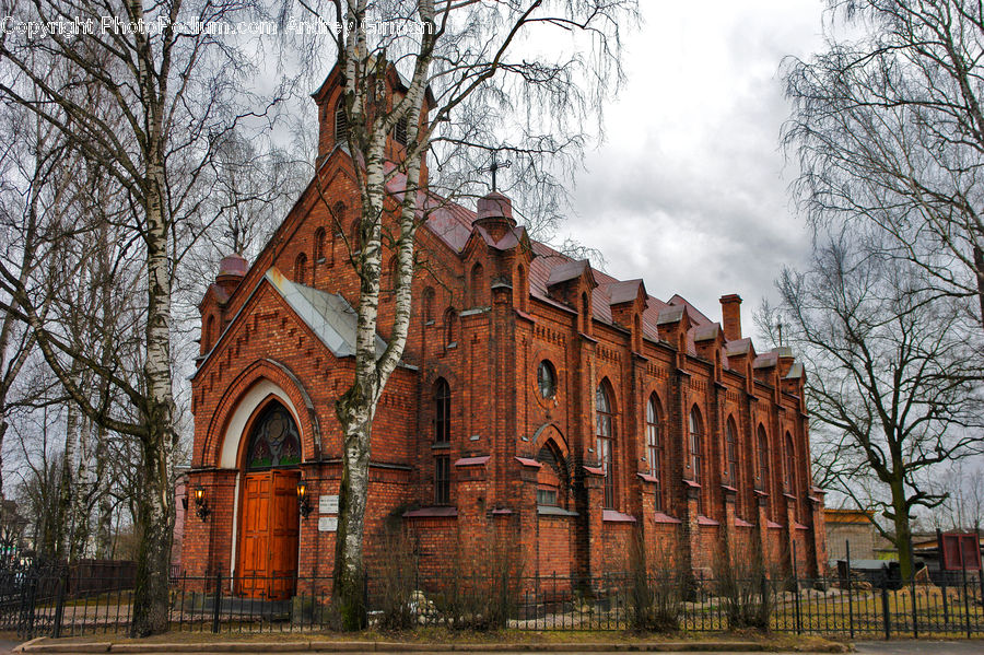 Architecture, Mansion, Plant, Tree, Church, Worship, Birch